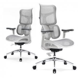 SIHOO Doro S100 高端人体工学办公椅 2色可选 @ Amazon